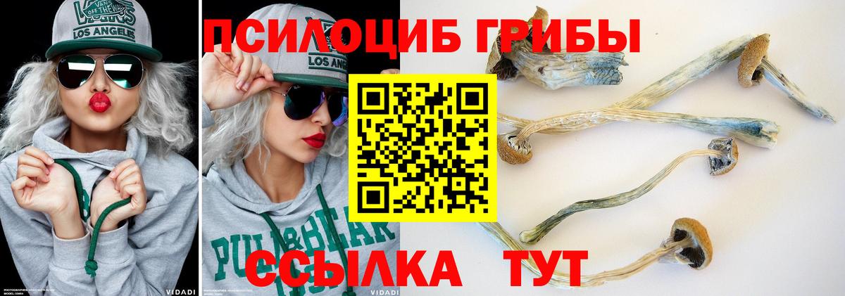 Россошь  Галлюциногенные грибы Psilocybine cubensis  Псилоцибиновые грибы мухоморы  Вход с VPN 